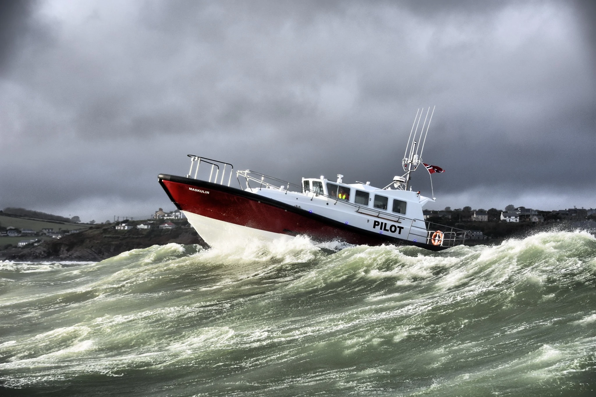 RIB Safari